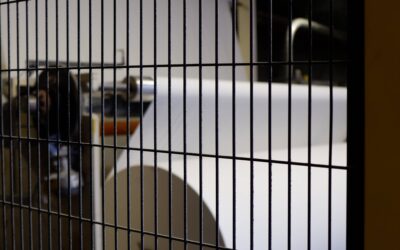 La qualité au cœur de notre outil industriel